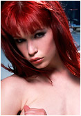 Click here to Preview This Model!